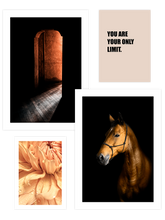 Orange Touch Poster Seti